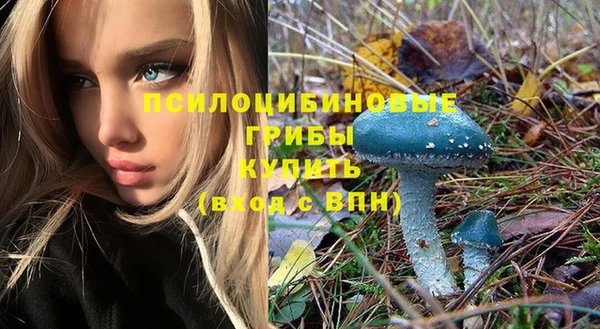 мдма Козловка
