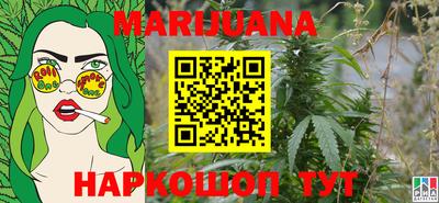 индика Беслан