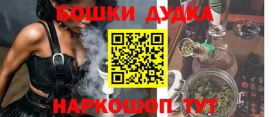 индика Беслан