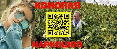молекула духа Донецк
