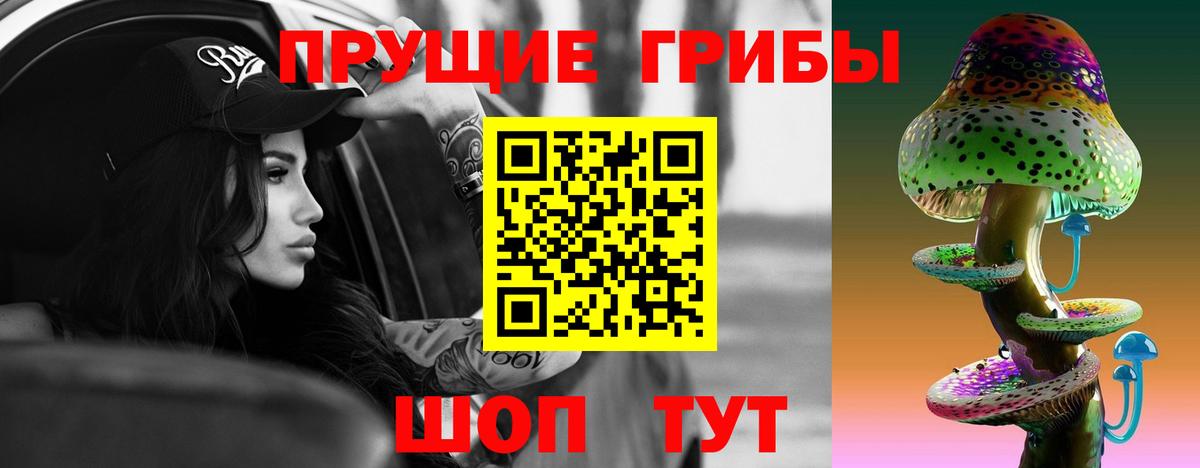 Псилоцибиновые грибы Psilocybe Улан-Удэ